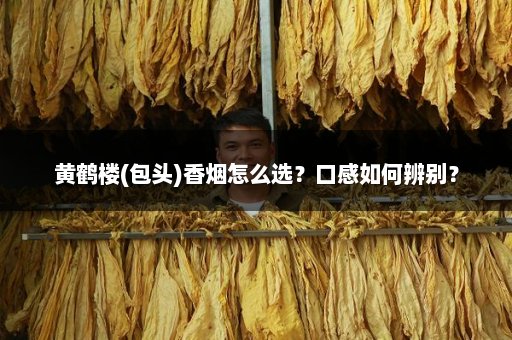 黄鹤楼(包头)香烟怎么选?口感如何辨别?